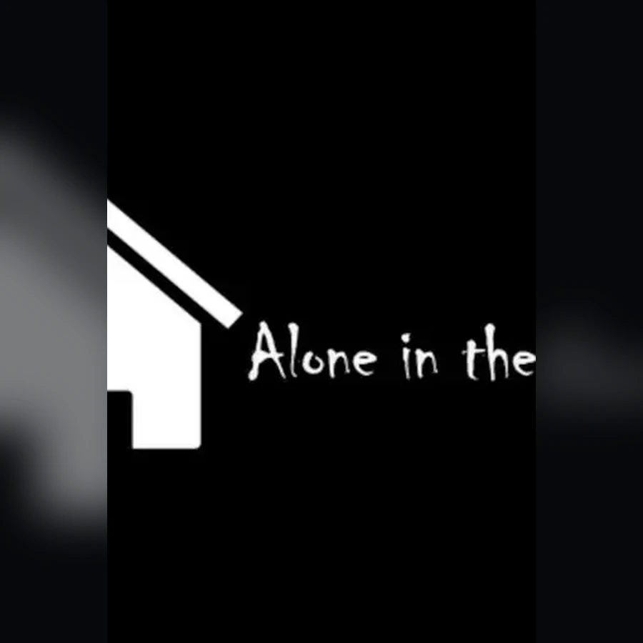 Alone in the house cover art