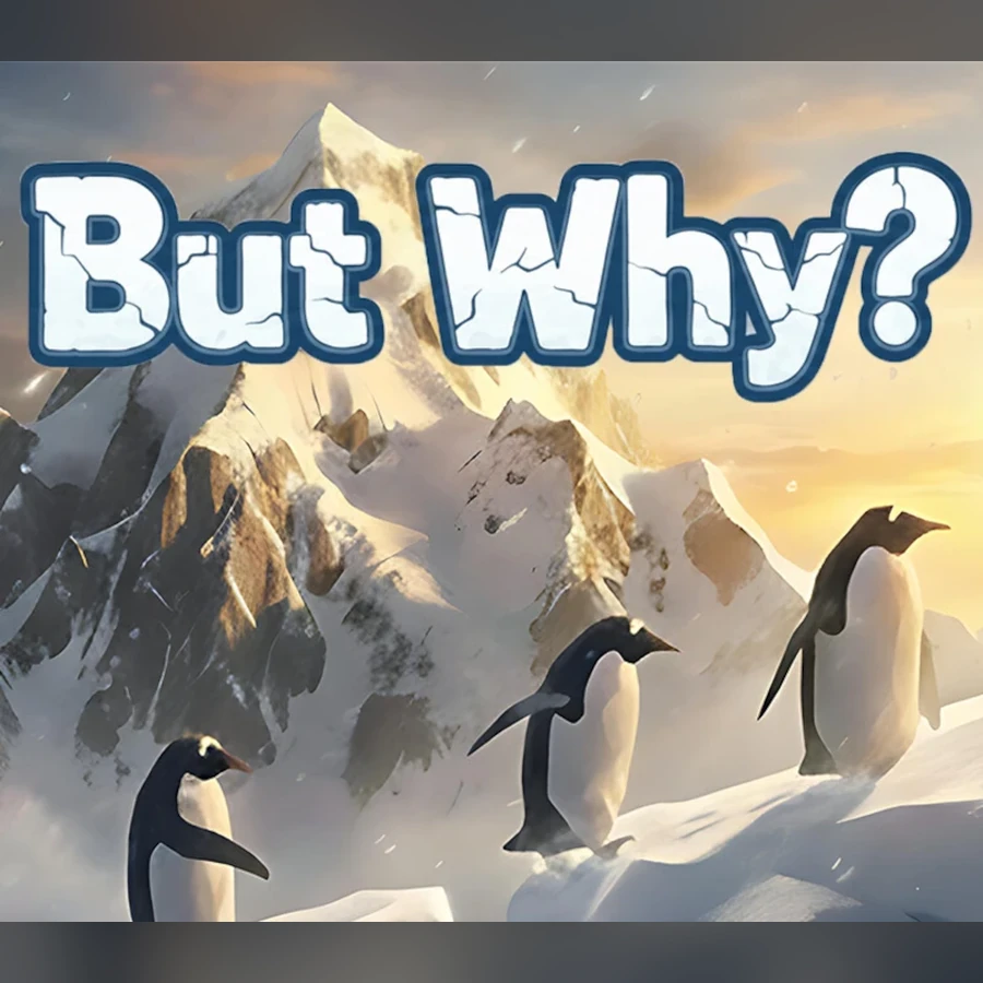 But Why? cover art