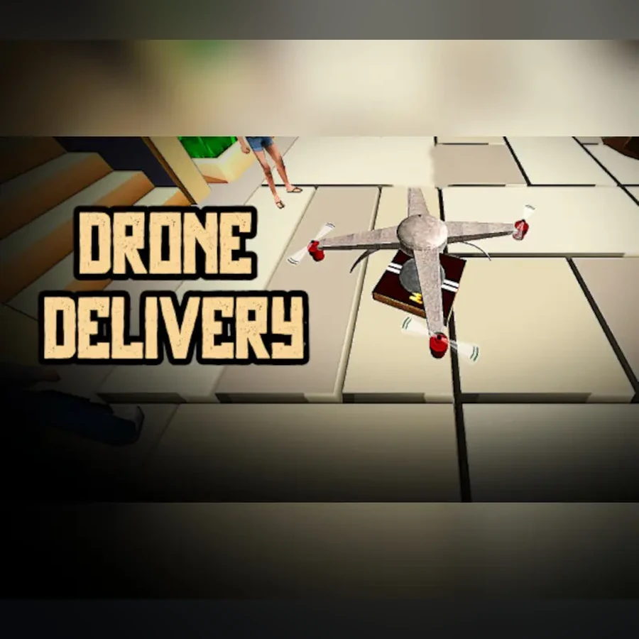 Drone Delivery cover art
