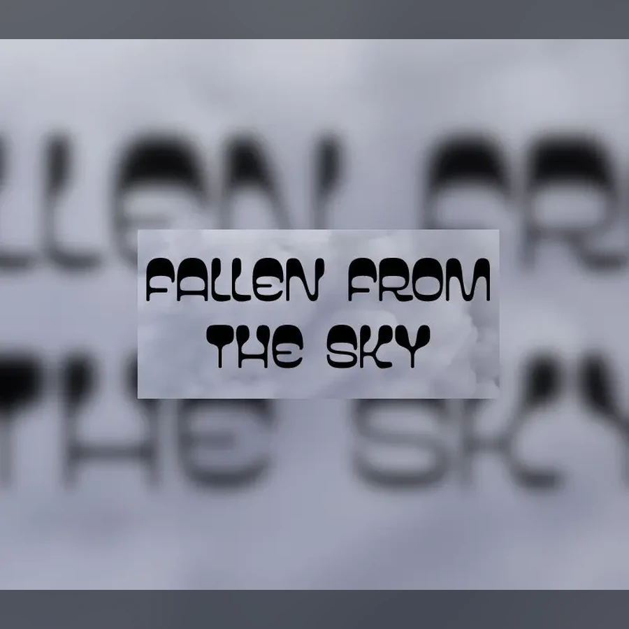 Fallen from the sky cover art