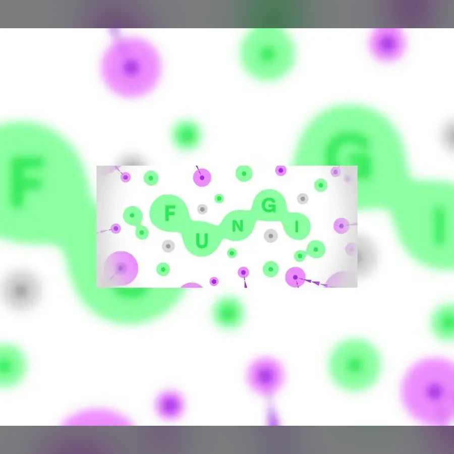 FUNGI cover art