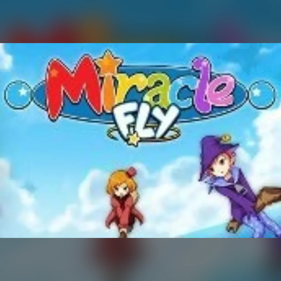 Miracle Fly cover art