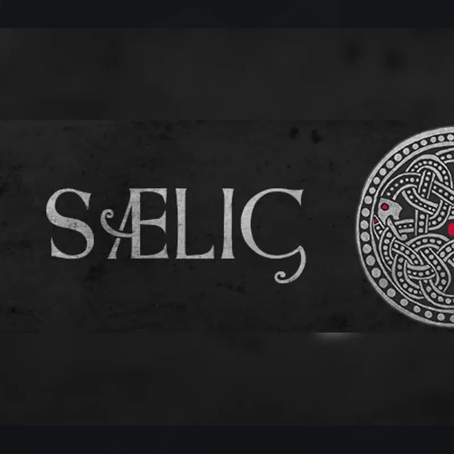 SAELIG cover art
