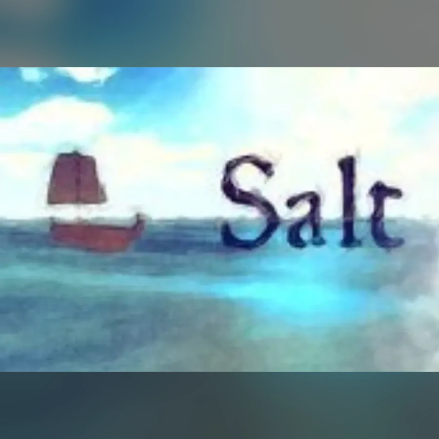 Salt cover art