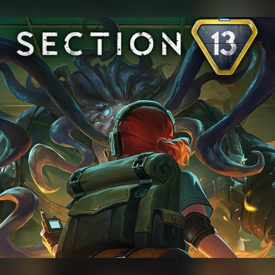 Section 13 cover art