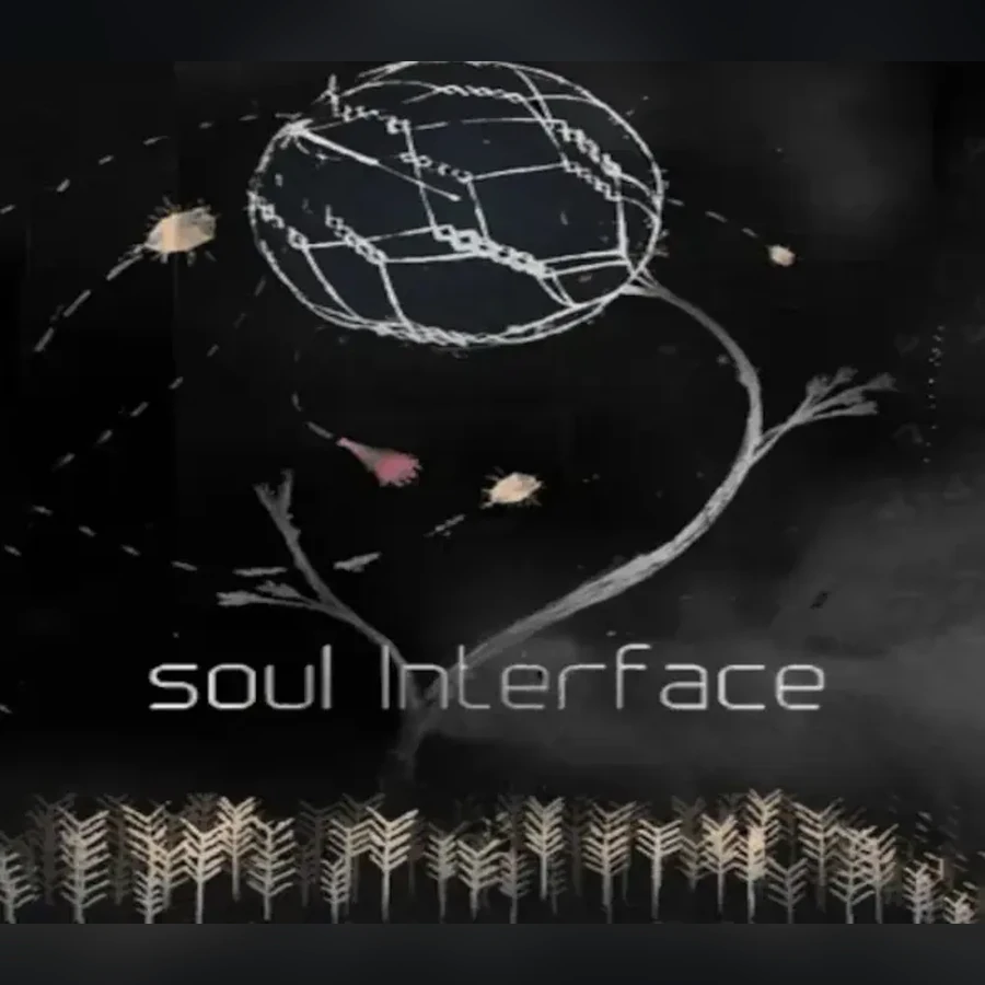 soul Interface cover art