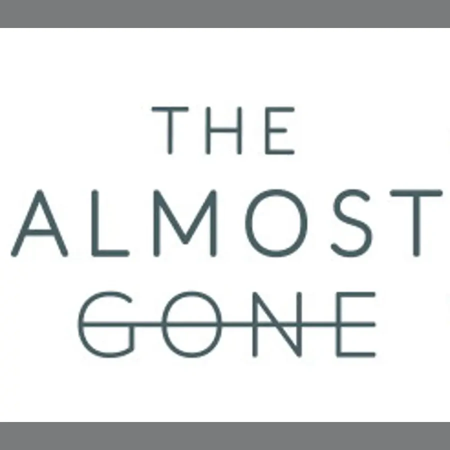 The Almost Gone cover art