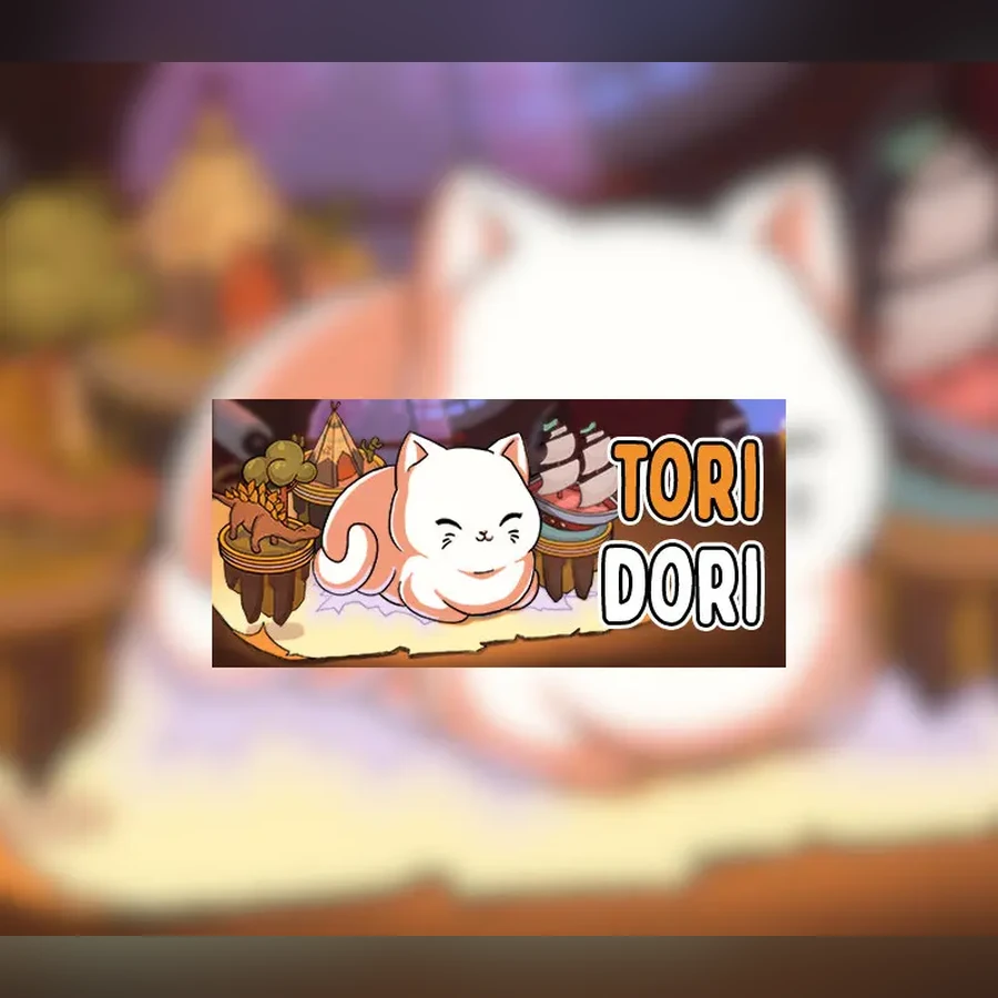 ToriDori cover art