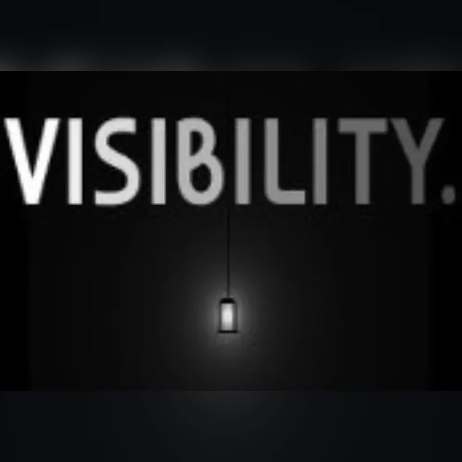 Visibility cover art